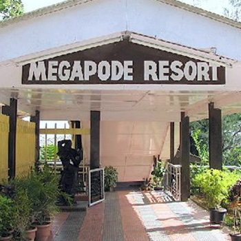 Hotel Megapode Nest